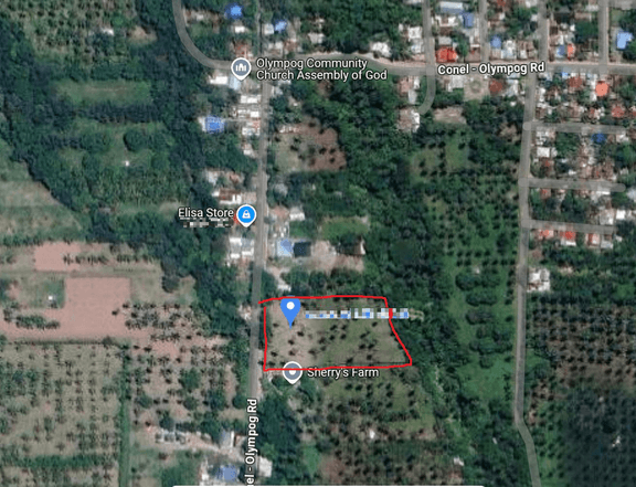 1.37 Hectares farm for sale in Purok 3 Olympog GSC