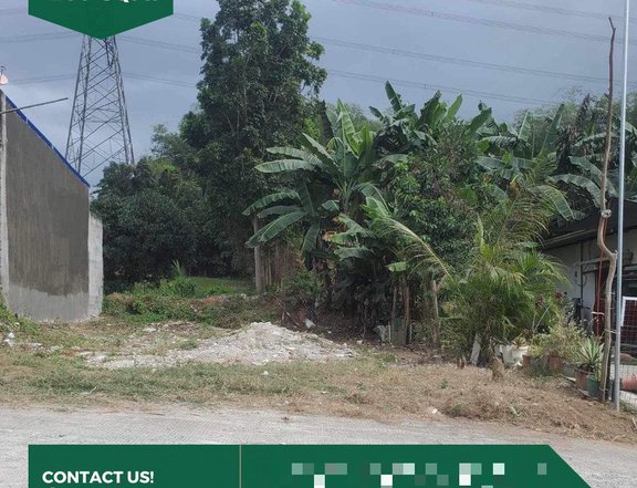 200 sqm Residential Farm Lot for Sale in San Pedro Batangas City