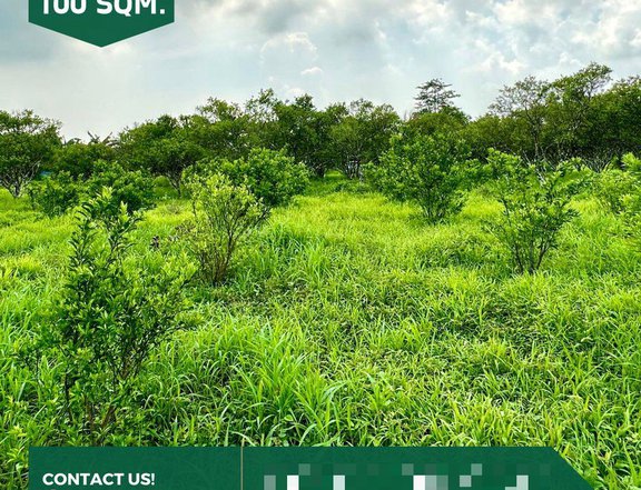 100 sqm Residential Farm for Sale in Padre Garcia Batangas