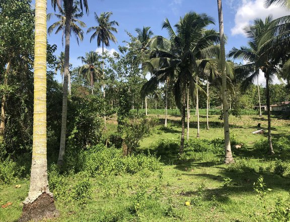 1.5 hectares Raw Land For Sale in Tubod Lanao del Norte