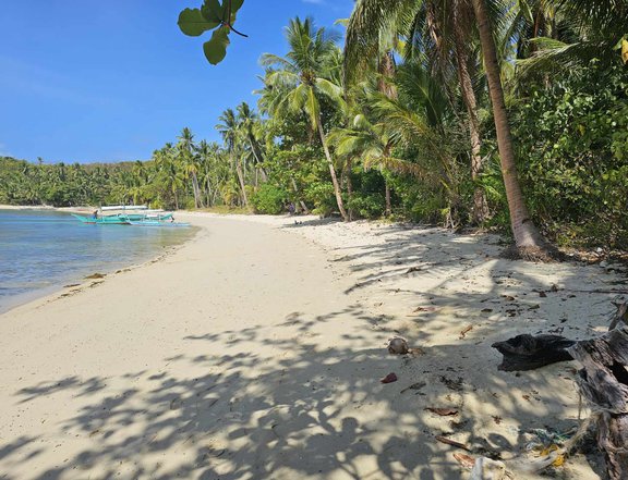 Area Fronting White Sand Beach