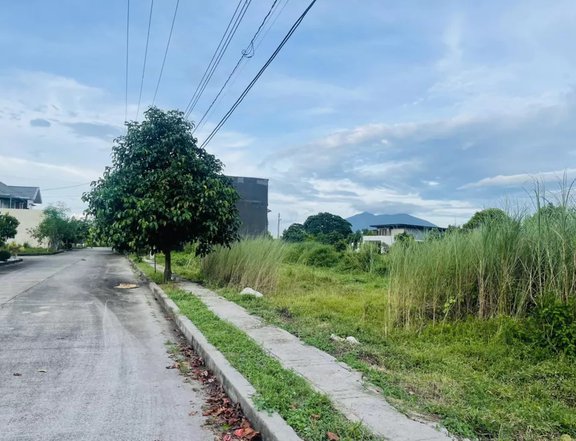 180 sqm Residential Lot For Sale Punta Verde in Angeles Pampanga