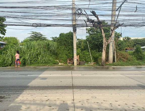 Commercial Lot 1,400 sqm in Hernan Cortes Street