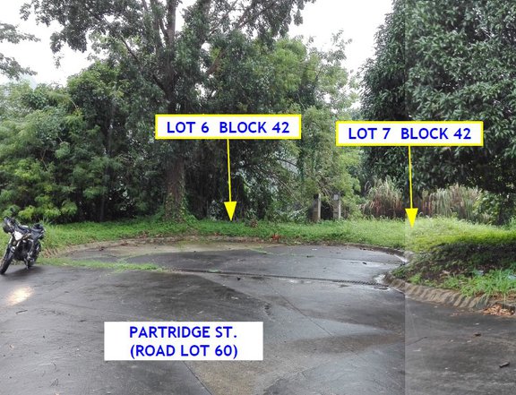 Canyon Woods Residential Estate in Batangas