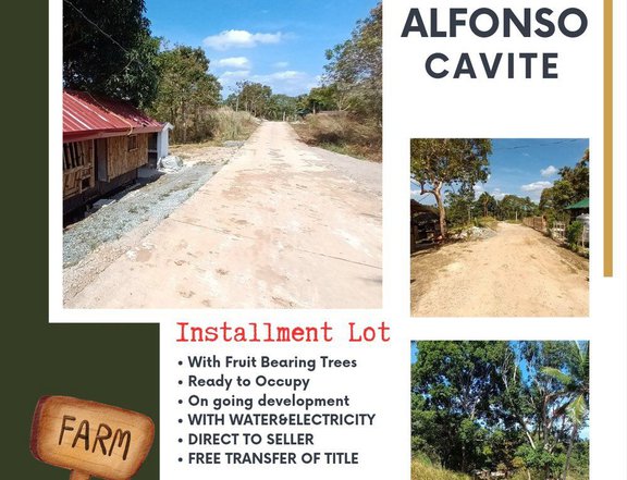800 sqm Residential Farm For Sale in Alfonso Cavite