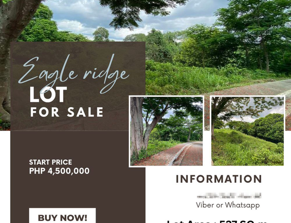 Eagle Ridge Lot for sale