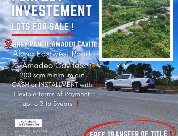 200 sqm Residential Lot For Sale in Amadeo Cavite