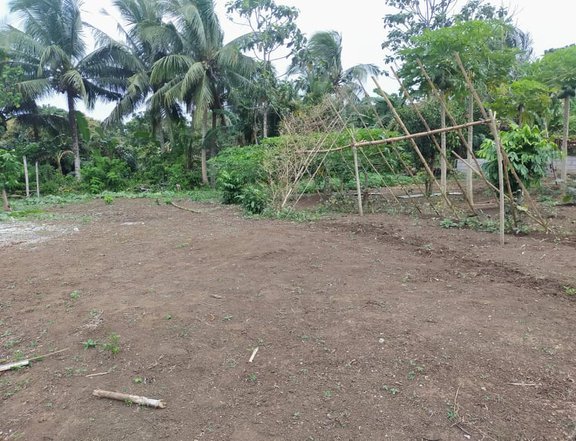 1,000 sqm lot for sale Amadeo Cavite