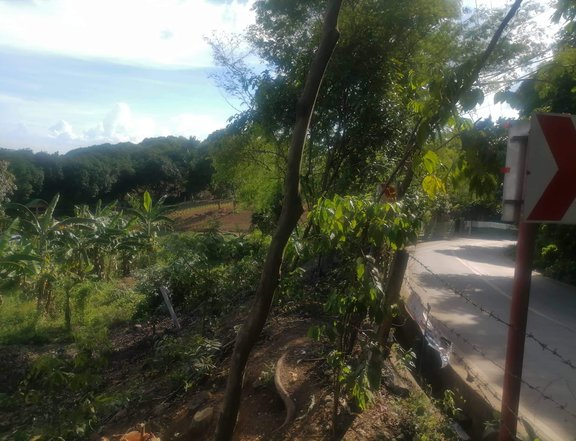 1500sqm lot for sale in Antipolo City (Beside the road)