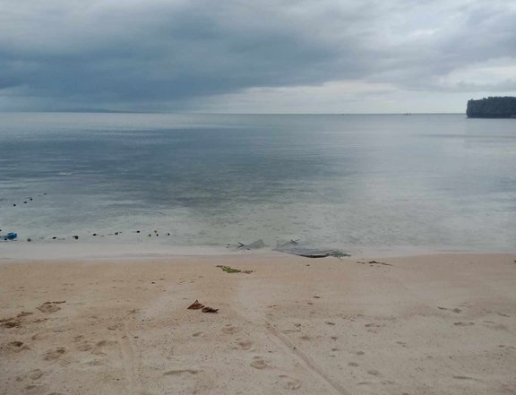 12 hectares Beach Property For Sale in Ferrol Romblon