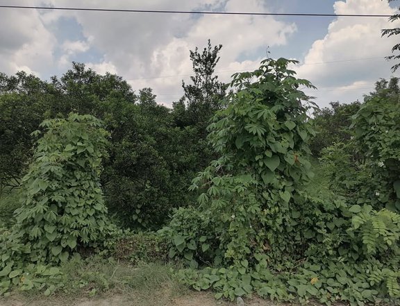5 hectares Raw Land For Sale in Rosario Batangas