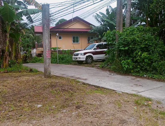 AFFORDABLE RESIDENTIAL LOT FOR SALE IN ALFONSO CAVITE