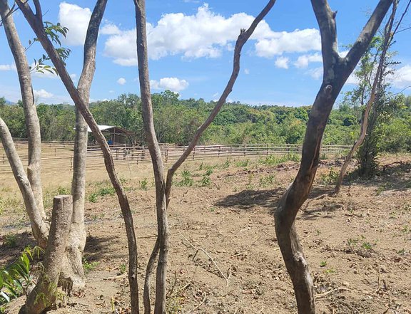 LOT FOR SALE 150 SQM, 3YRS TO PAY TANAY RIZAL