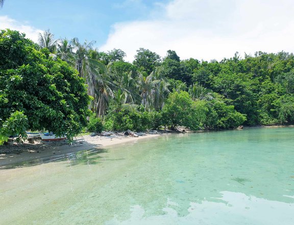 1 hectare Beach Property For Sale in Boayan Island,San Vicente Palawan