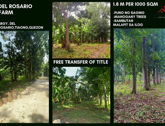 Farmlot for sale in Tiaong Quezon