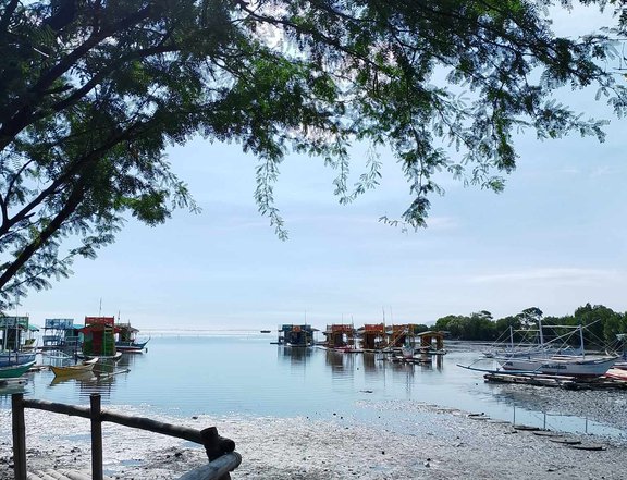 AFFORDABLE BEACH LOT FOR SALE IN CALATAGAN BATANGAS
