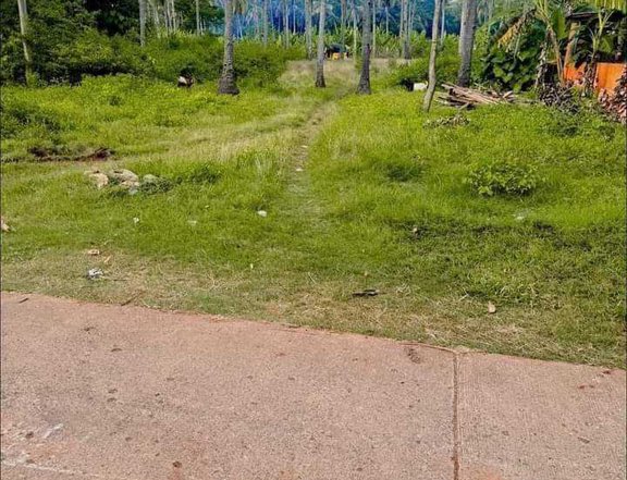 Residential Near Highway Gasi Laguindingan 150sqm along road Near in Airport