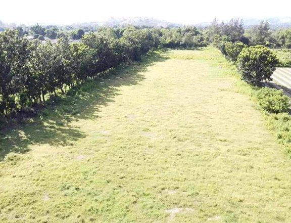 267 sqm Farm Lot For Sale in Castillejos Zambales