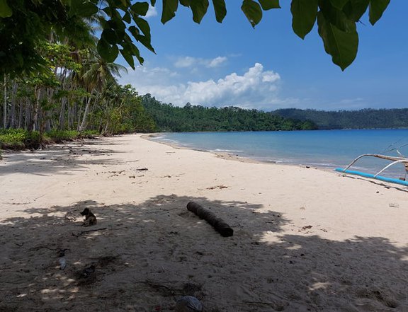 1 hectare Beach Property For Sale in Puerto Princesa Palawan