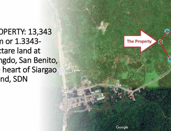 13,343 sqm Residential Farm for Sale in Siargao Island.