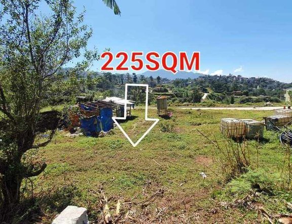 225 titled lot for sale