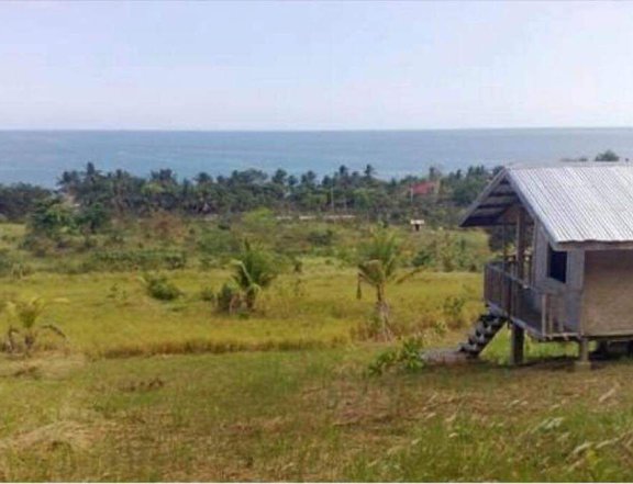 Overlooking Lot for Sale PPC, Palawan
