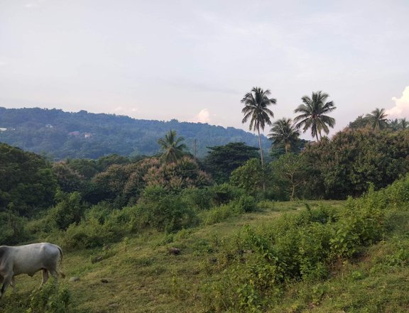 Affordable Residential farm lot for sale in Batanggas city