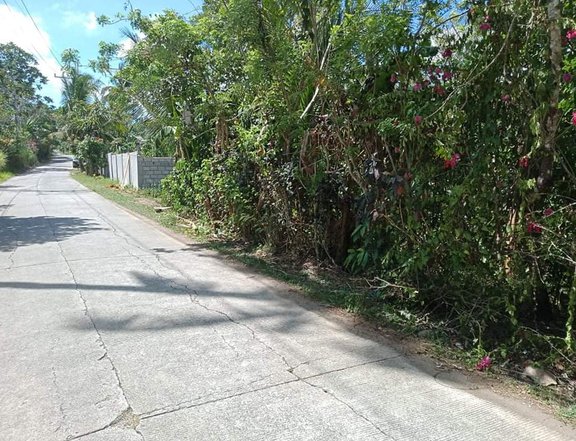 2100sqm. Lot for Sale Indang, Few minutes to Tagaytay City
