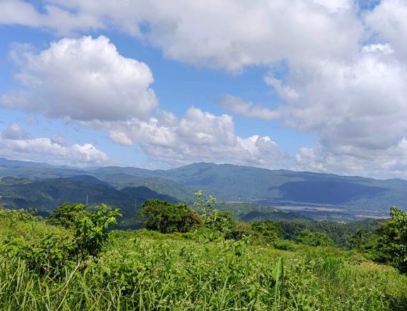 FARM LOT IN PILILIA RIZAL