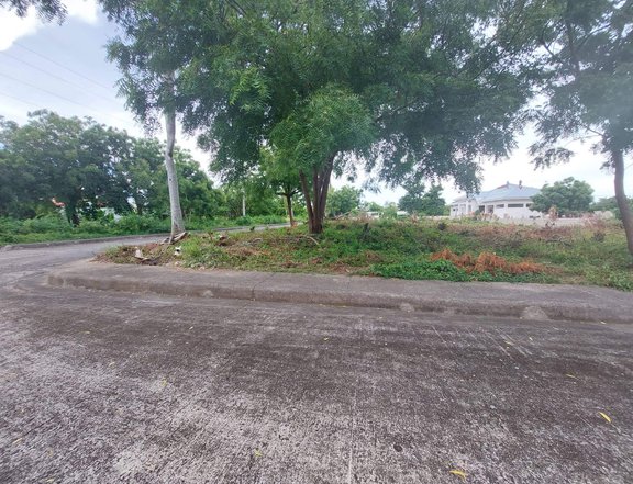 Lot only subd. With access to white beach