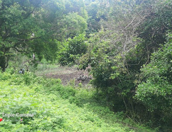 Selling this 2.1 hectares agricultural lot good for farming, quarry mining or residential. Titled.