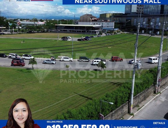 240 sqm Southwoods City Binan Residential/Commercial Lot