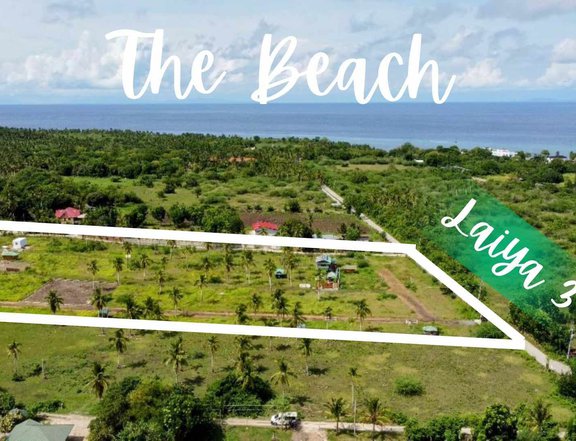 Affordable Lot near the Beach in Laiya 3 Ibabao