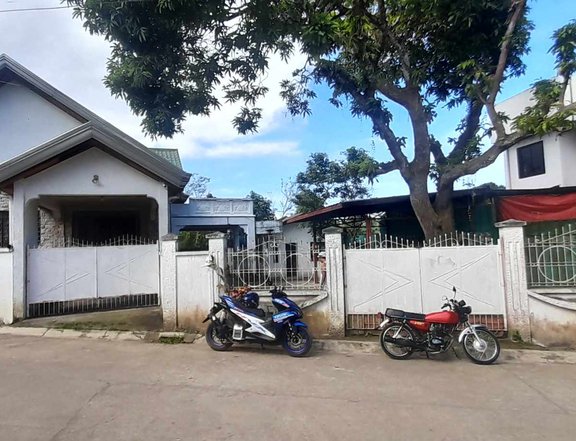 House and lot for sale Los Banos laguna