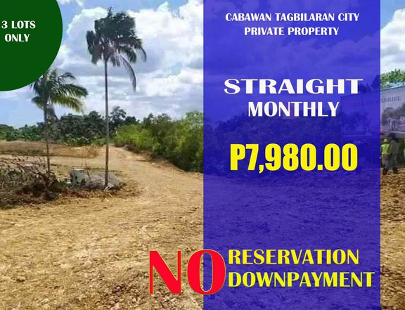 80 sqm Raw Land For Sale in Cabawan Tagbilaran Bohol