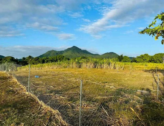 400 sqm Residential Farm For Sale in Nasugbu Batangas