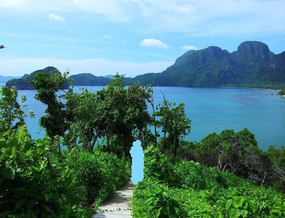 3.21 hectares Beach Property For Sale in El Nido (Bacuit) Palawan