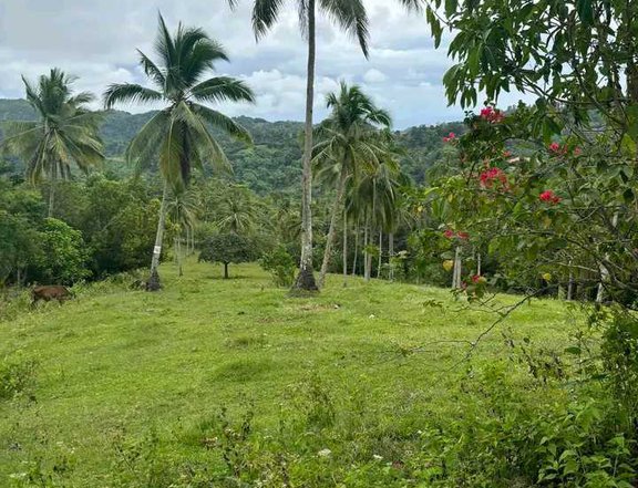 Not Crowded Peaceful Overlooking Seaview Farm Lot OnePropertee Sale Baliang Danao Cebu Rest House