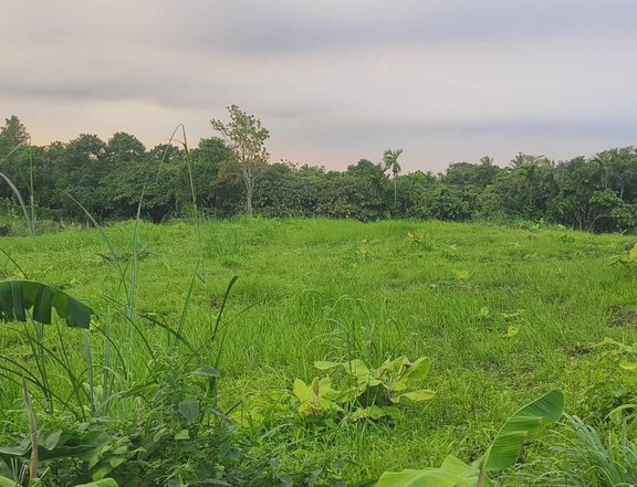 Residential Lot For Sale in Amadeo Cavite