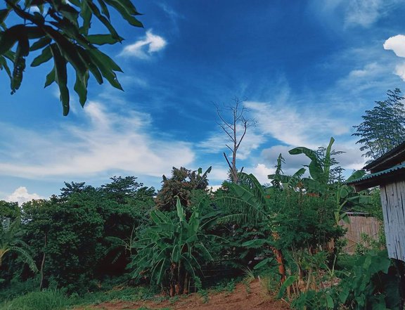 Residential Lot in Tanay