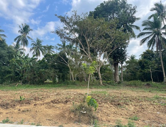Farm lot,residential lot,installment, No Dp,20K resrvation,7yrs to pay
