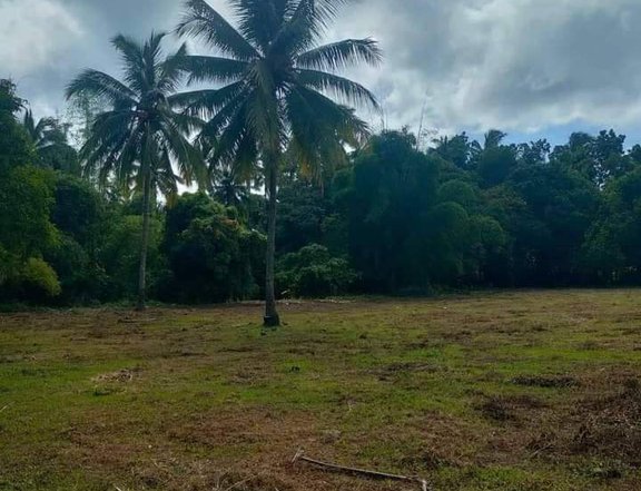Residential farm lot sa Alfonso Cavite