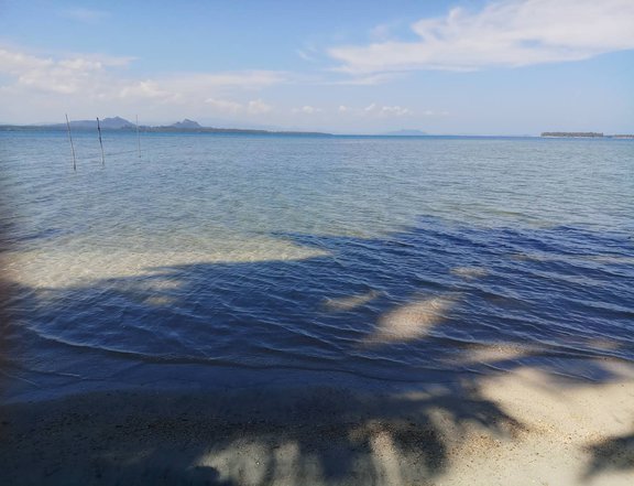 2.39 hectares Beach Property For sale on Palawan