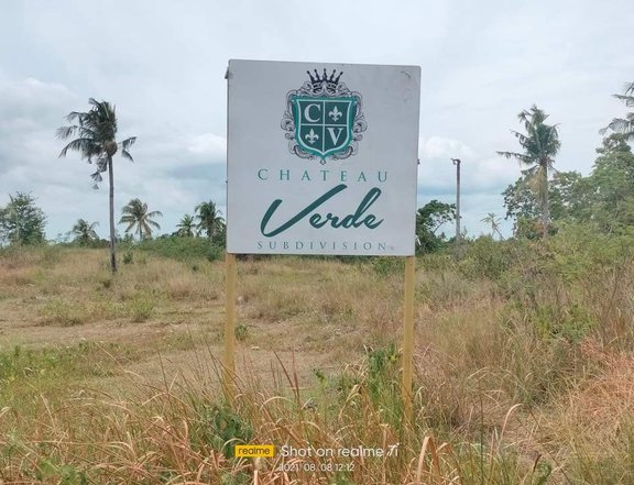 50 sqm Raw Land For Sale in Bogo Cebu