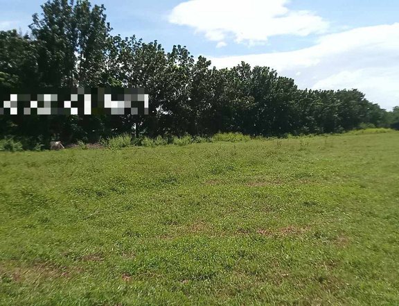 200sqm Farm Lot for sale in Castillejos, Zambales