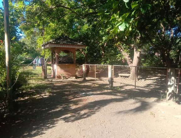 Good for business! 6,500 per sqm / 7,251 sqm Beach Property For Sale in Lemery Batangas