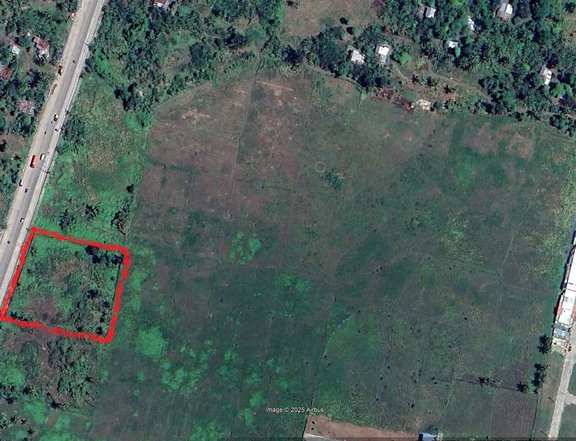 4,919 sqm Prime Residential or Commercial Lot For Sale by Owner in Carcar City, Cebu