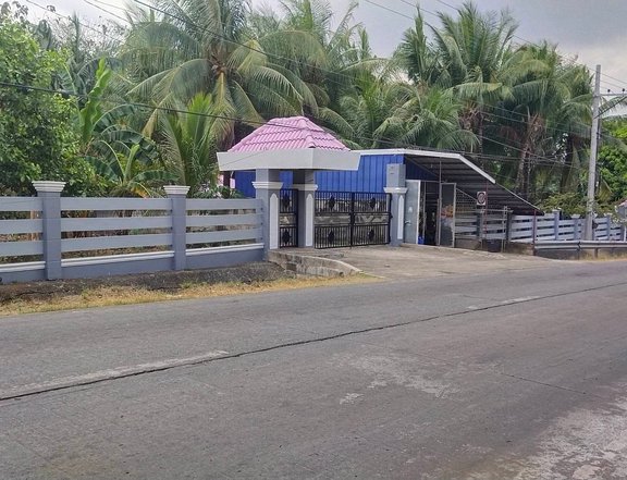 House and Lot for Sale in Anda Pangasinan! Wide yard at Mapuno!