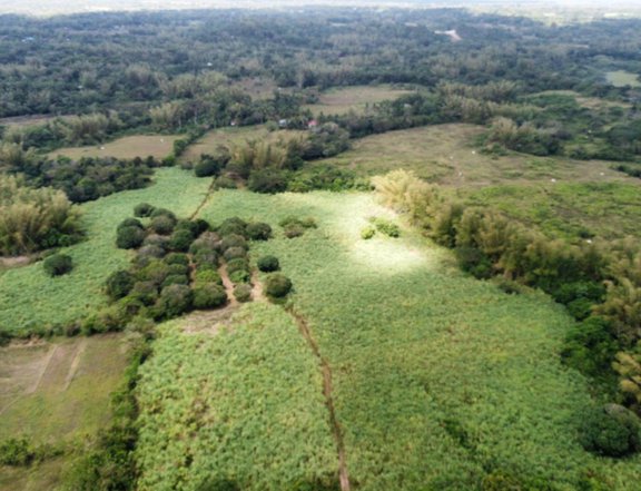53 hectares Raw Land For Sale in Rosario Batangas