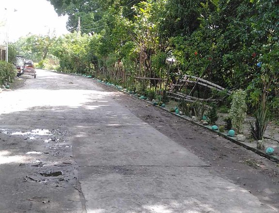 4,489 sqm Residential Lot For Sale in San Narciso Zambales